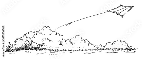 kite flying over bushes in simple nature scene