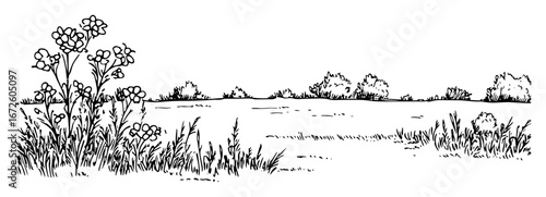 open meadow with flowers and bushes peaceful nature illustration