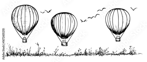 hot air balloons flying over grass with birds in sky whimsical travel scene