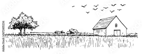 barn in field with tree and flying birds rural minimal scene