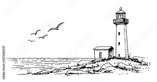 lighthouse by sea with rocks and birds coastal black and white illustration