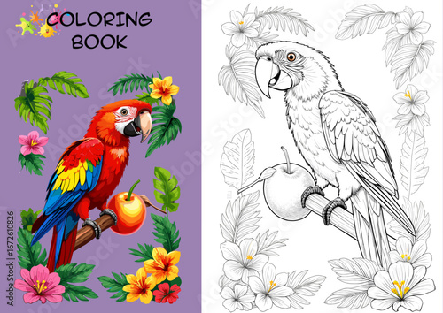 Colorful parrot drawing and coloring page with floral elements  