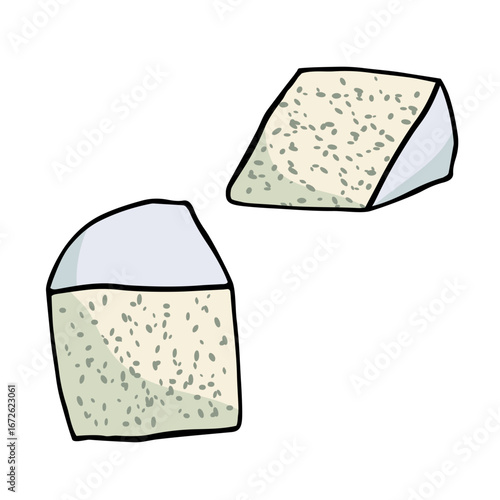 Two wedges of blue cheese on white background hand-drawn vector illustration