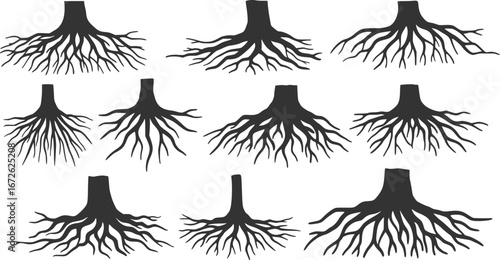 Vector Set of tree roots
