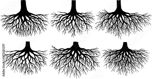 Vector Set of tree roots
