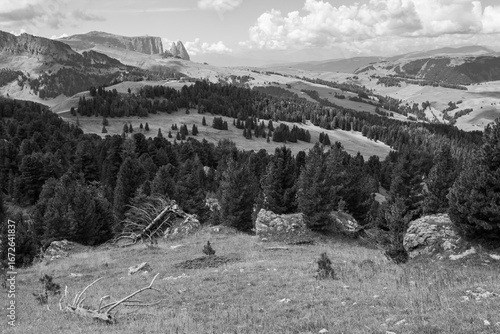 The wide meadows on the northern side of Sciliar mount in the Dolomites