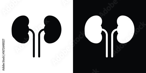 Kidneys icon for web design. solid vector icons