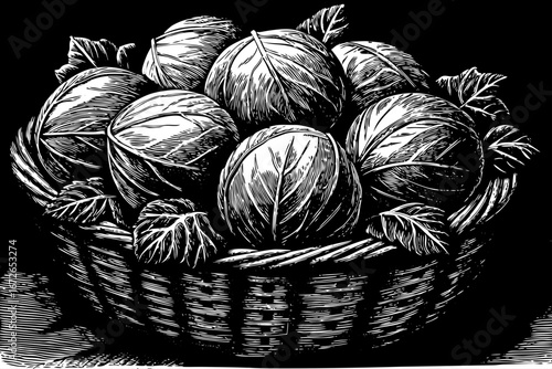 Basket filled with cabbages decorated with leafy branches, rustic organic natural arrangement, traditional still life black and white sketch