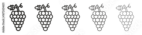 Grapes icon for graphic designs. Icon vector design