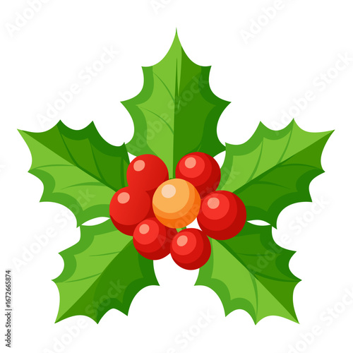 Holly leaves with red berries isolated on white background