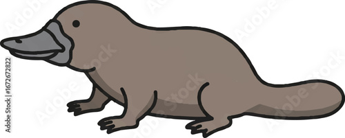 Platypus, an unusual australian animal with a duck bill, suitable for educational materials, wildlife conservation campaigns, and naturethemed designs.