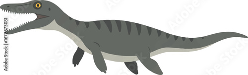 Gray swimming carnivorous marine reptile. Suitable for marine life educational materials, childrens books, and science websites.