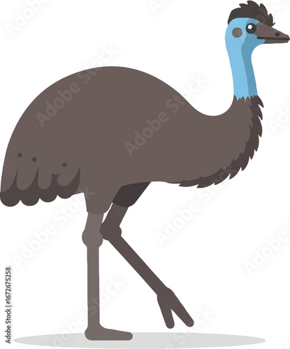 Emu with brown feathers and a blue neck, suitable for wildlife publications, educational materials, naturethemed designs, and animal conservation projects.