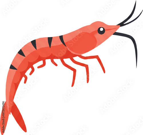 Red prawn with black stripes on white background. Ideal for seafood menus, culinary blogs, restaurant flyers, and oceanthemed designs.
