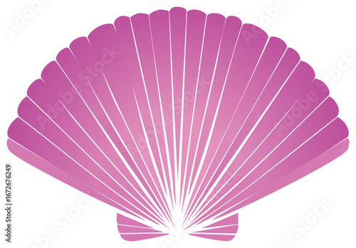 Abstract Pink Seashell Illustration of Summer Beach Graphic