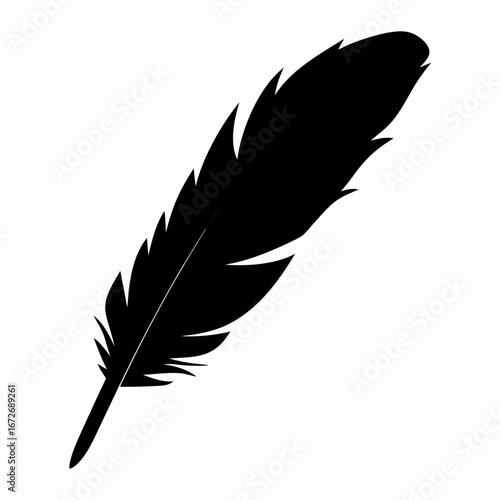 Silhouette of a Bird Feather Against White Background Expressing Simplicity and Elegance