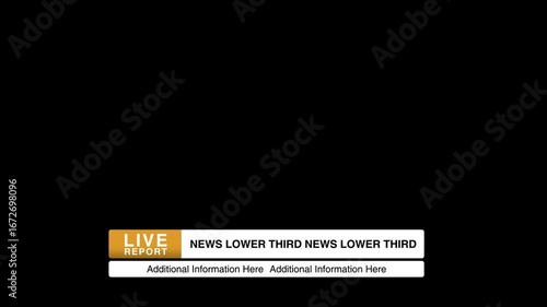 Elegant Broadcast News Lower Third Overlay