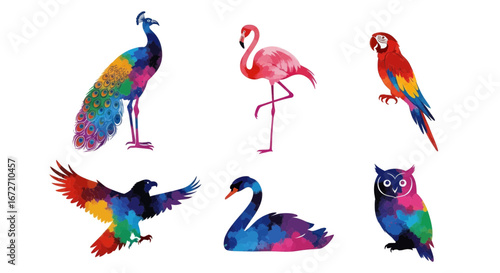 Vibrant collection of colorful birds illustrations peacock flamingo eagle swan parrot and owl perfect for nature lovers and animal enthusiasts