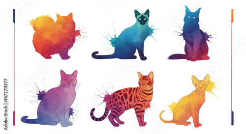 A collection of six different cat breeds illustrated in a vibrant, rainbow watercolor splash art style.