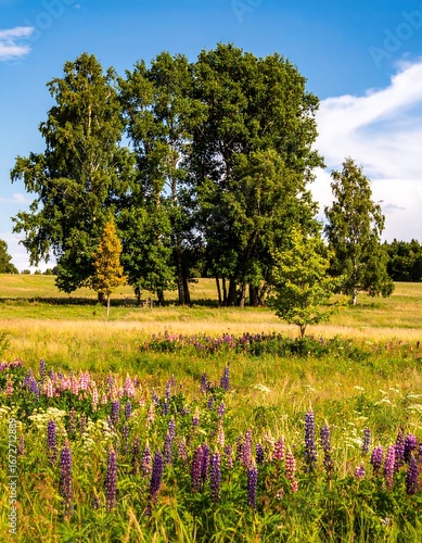 Wallpaper Mural A picturesque field of vibrant lupines dotted with lush green trees under a vibrant blue sky. Torontodigital.ca