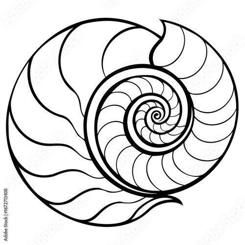 Abstract nautilus shell spiral pattern in black and white, representing growth and natures geometry