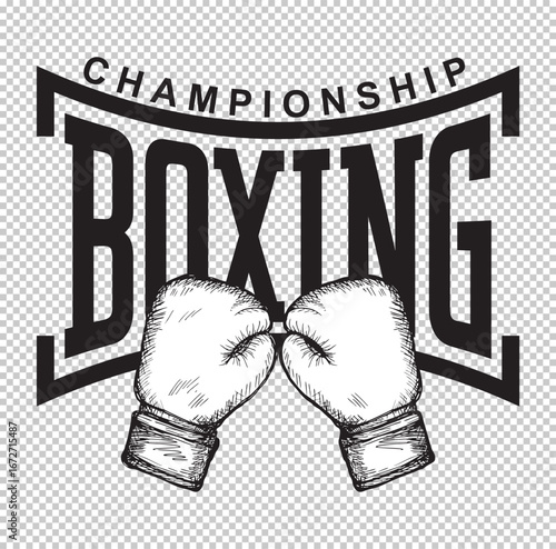Boxing design over white background.Boxing championship, vector illustration