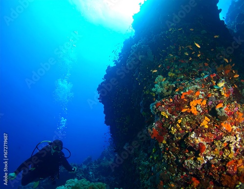 Diver exploring vibrant coral reef (2)