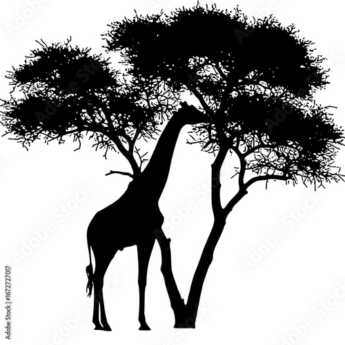 silhouette of a giraffe