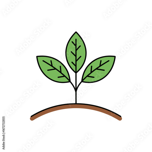 Green sprout emerging from fertile soil showing new life growth and hope for the future