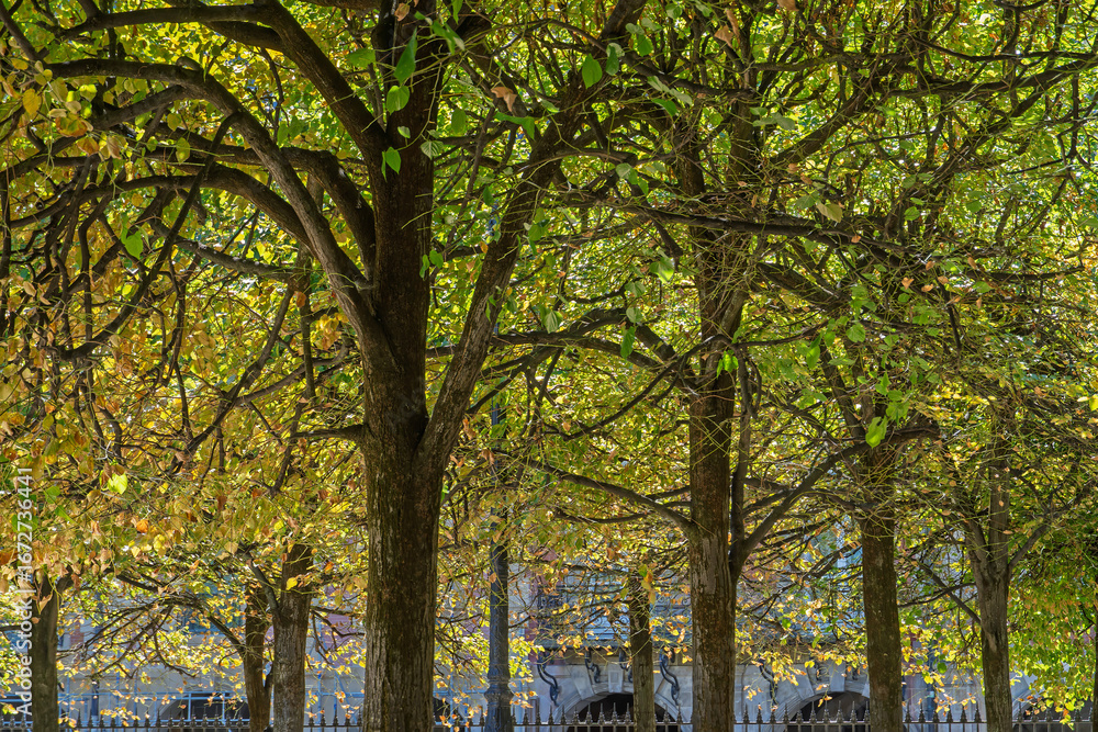Fototapeta premium Place des Vosges, Paris