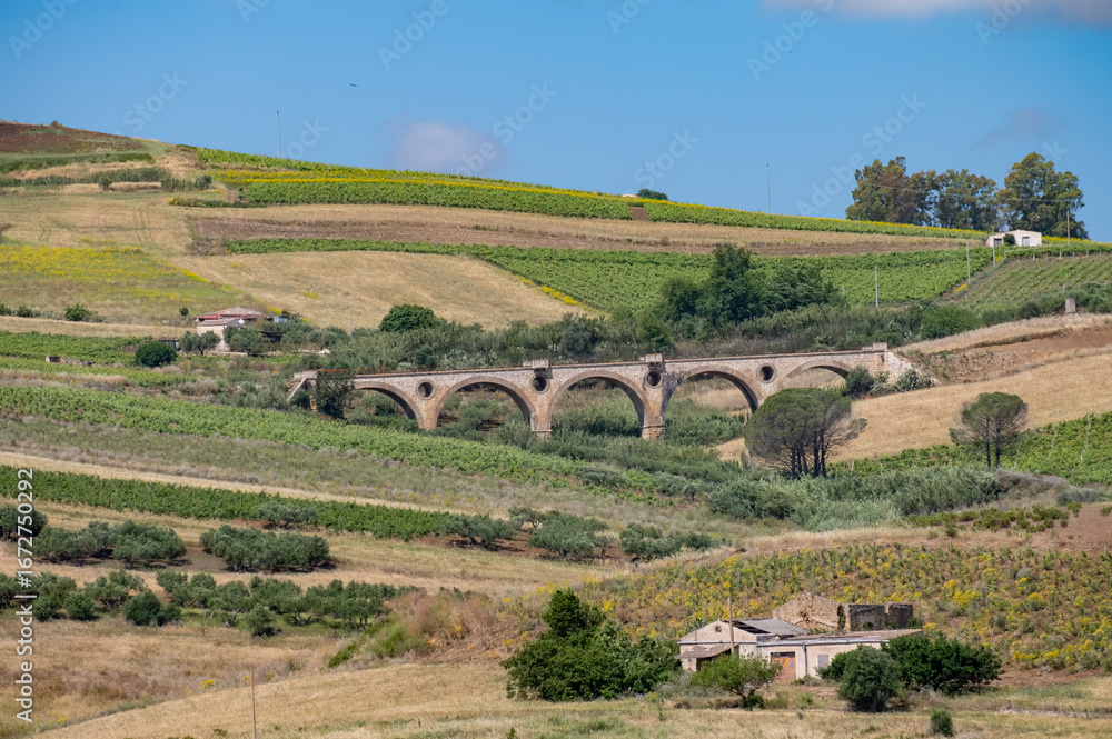 Naklejka premium View on hills with vineyards and olive groves from Palermo-Trapani highway, Sicily, vacation destination in Italy