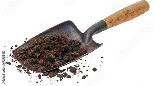 Fototapeta Naklejka Na Ścianę i Meble -  A shovel filled with soil on a black background ready for planting in the garden or flower bed