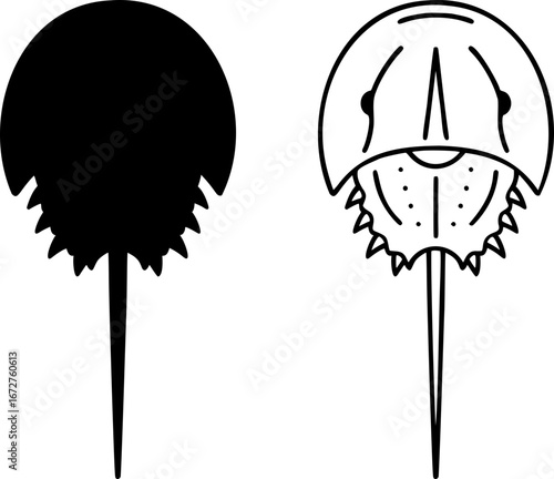 Horseshoe crab silhouette and outline vector black and white icon isolated illustration image decal design file download