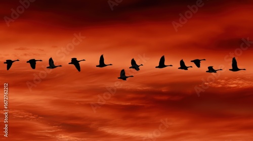 Wallpaper Mural A flock of birds soaring against the backdrop of a vibrant sunset sky. The silhouette of the birds creates a sense of movement and freedom Torontodigital.ca