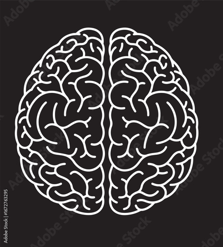 top-down line drawing of the human brain showing its two distinct cerebral hemispheres