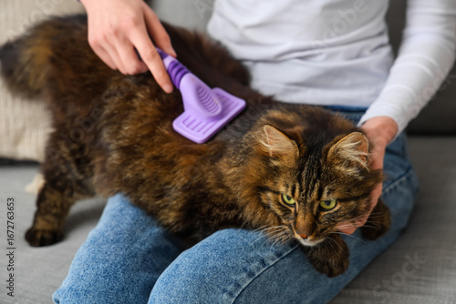Young woman brushing fluffy...