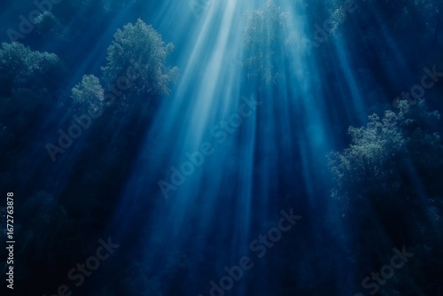 Wallpaper Mural Sunlight piercing through the morning mist creates a breathtaking scene in a forest filled with autumn colors Torontodigital.ca