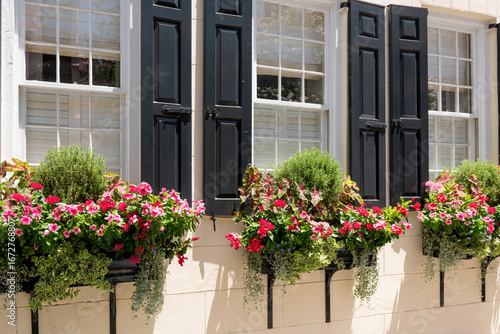 Vibrant flower boxes filled with pink and red blooms decorate windows with black shutters in the historic district,