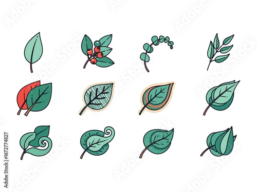 Botanical Symphony: An artistic collection of diverse leaves and foliage, beautifully arranged to showcase nature's intricate detail and variety. 