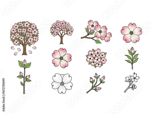 Blossom of Spring: A collection of artistic rendering cherry blossom illustrations in delicate shades of pink and white, celebrating the ephemeral beauty of springtime.