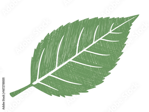 Leaf Texture: An artistic leaf with a lush green hue and subtle textures, showcasing the organic simplicity of nature, capturing the quiet beauty of botanical details.