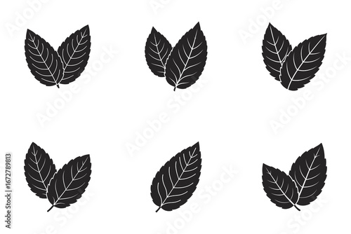 Minimalist Mint Leaf Vector Graphic Design with Fresh Herb and Flavorful Ingredient Illustration for Culinary and Botanical Projects