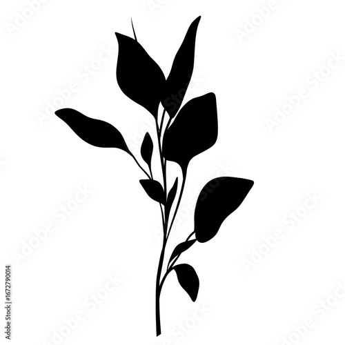 Bild auf Leinwand Minimalist Silhouette Delicate Branch with Leaf Illustration Graphic Asset