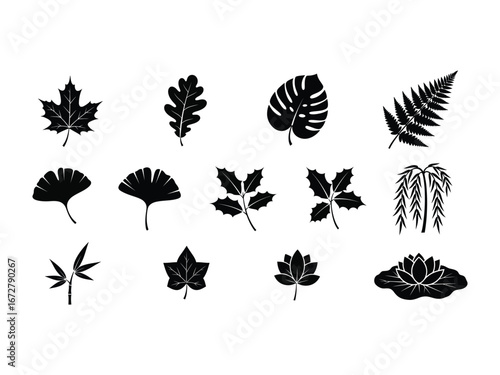 Diverse Leaf Silhouettes: A curated collection of intricate leaf silhouettes presents a visual exploration of nature's elegant botanical diversity.