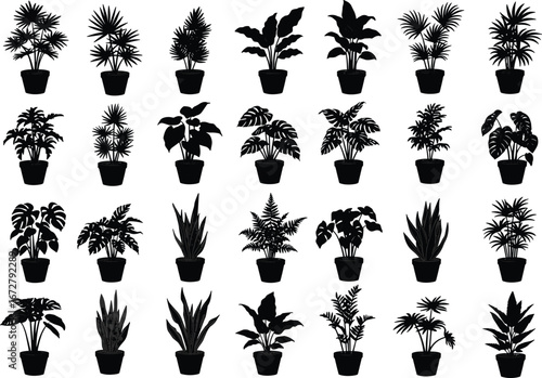 Collection of potted plant silhouettes, tropical houseplants, indoor greenery, botanical icons, leafy foliage, home garden decoration, plant clipart, nature elements vector.