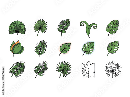 Green Leaf Variety: A vibrant selection of various tropical leaves, each showcasing unique shapes and textures, illustrating the diverse beauty of the plant kingdom.