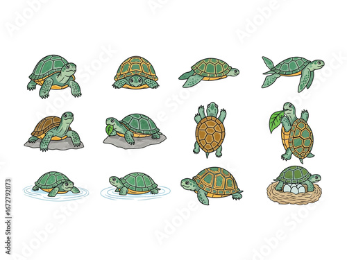 Diverse Turtle Collection: A meticulously curated set of illustrations showcase the turtle in a dynamic and versatile collection, each turtle in its unique posture