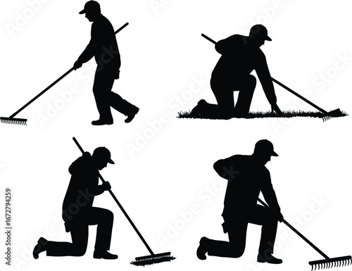 Silhouette of man raking lawn, kneeling and standing poses, garden maintenance, yard cleaning, landscaping work, outdoor gardening tools, nature care, grass removal, worker