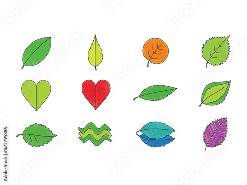 Leaves: Hand-drawn graphic, diverse leaves, each one with a distinctive style, capturing the essence of nature's artistry and versatility.