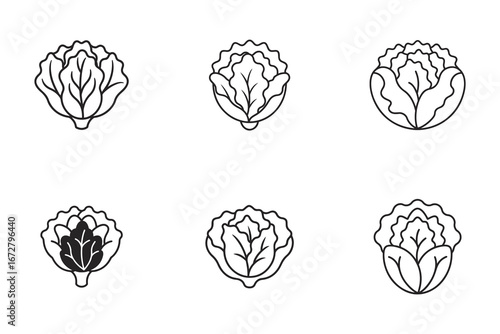 Set of Six Minimalist Cabbage Icons for Food and Nutrition Related Design Projects or Agricultural Businesses with Simple Black and White Lines